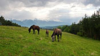 Pictures of Bansko area